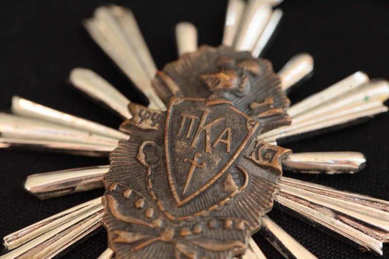 PIKE shield medallion